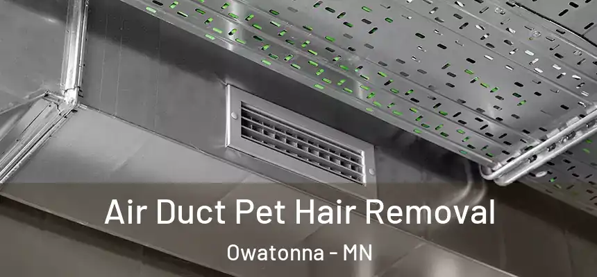  Air Duct Pet Hair Removal Owatonna - MN