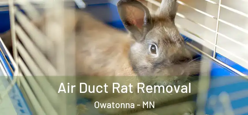  Air Duct Rat Removal Owatonna - MN