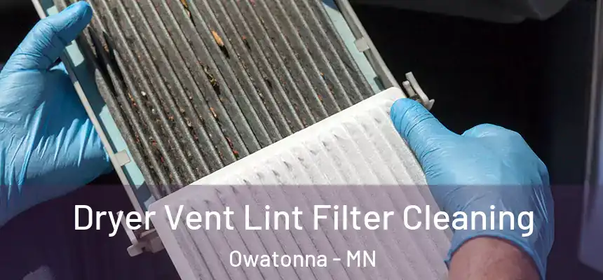  Dryer Vent Lint Filter Cleaning Owatonna - MN