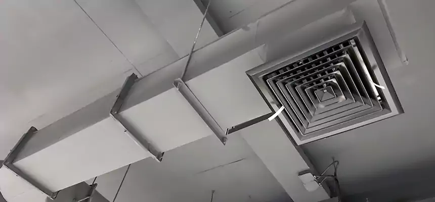 Our Pest Removal From Ducts Services in Owatonna, MN