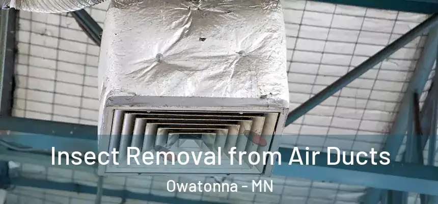 Insect Removal from Air Ducts Owatonna - MN