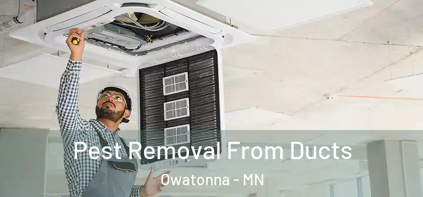  Pest Removal From Ducts Owatonna - MN